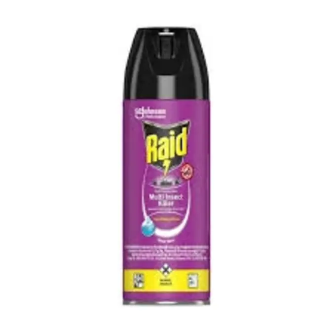 Raid Multi-Purpose Insect Killer 200ml